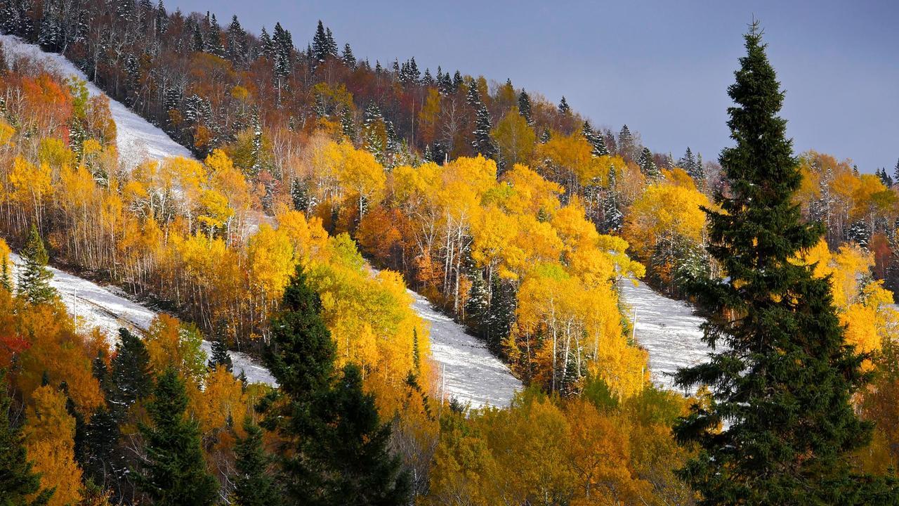 Les Bouleaux - Les Chalets Spa Canada Ла Мале Екстериор снимка